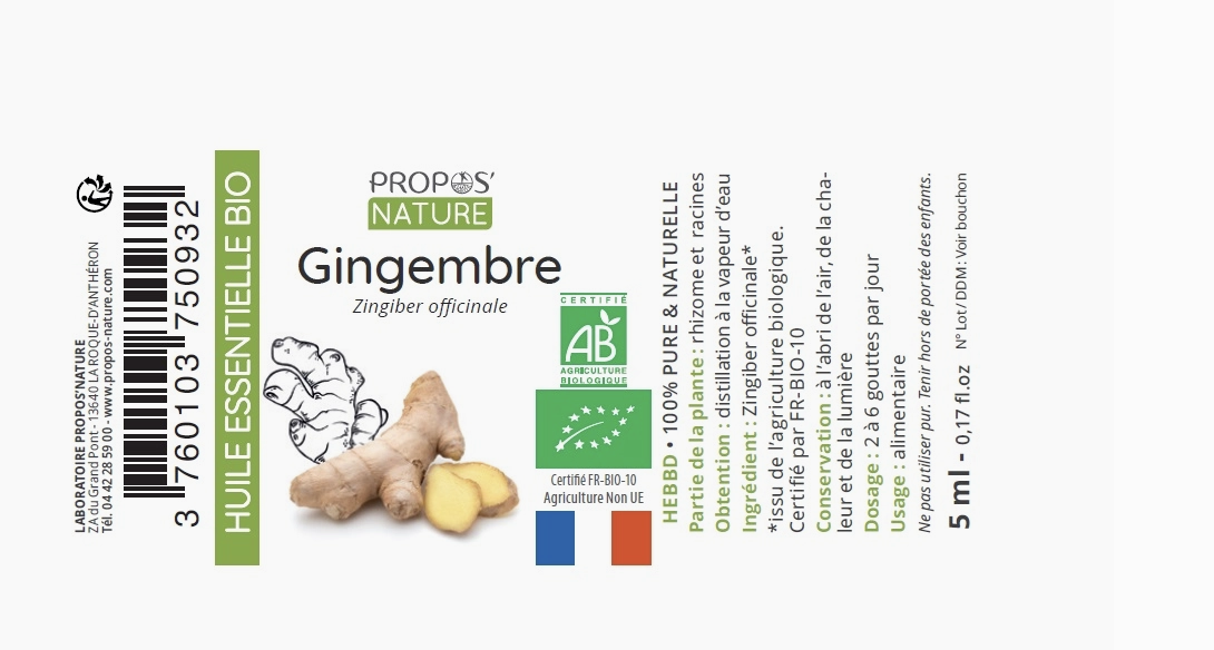 Aceite Esencial de Jengibre Bio (Zingiber officinale) - Imagen 2