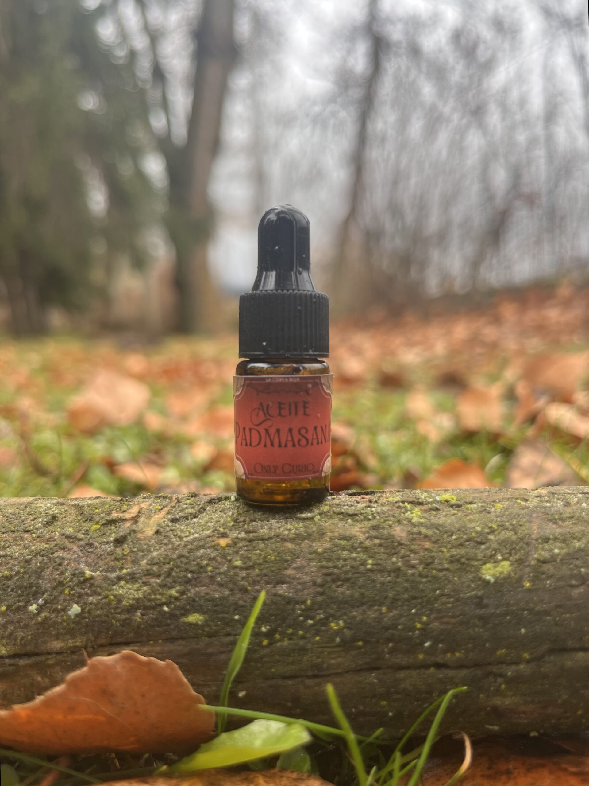 Padmasana – Meditación y concentración - Imagen 2