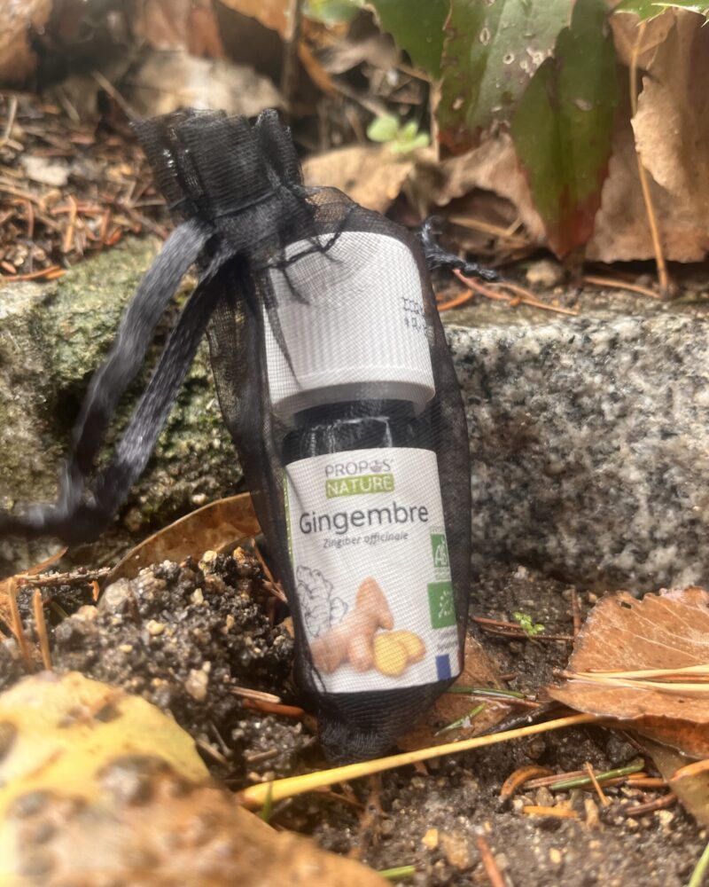 Aceite Esencial de Jengibre Bio (Zingiber officinale)