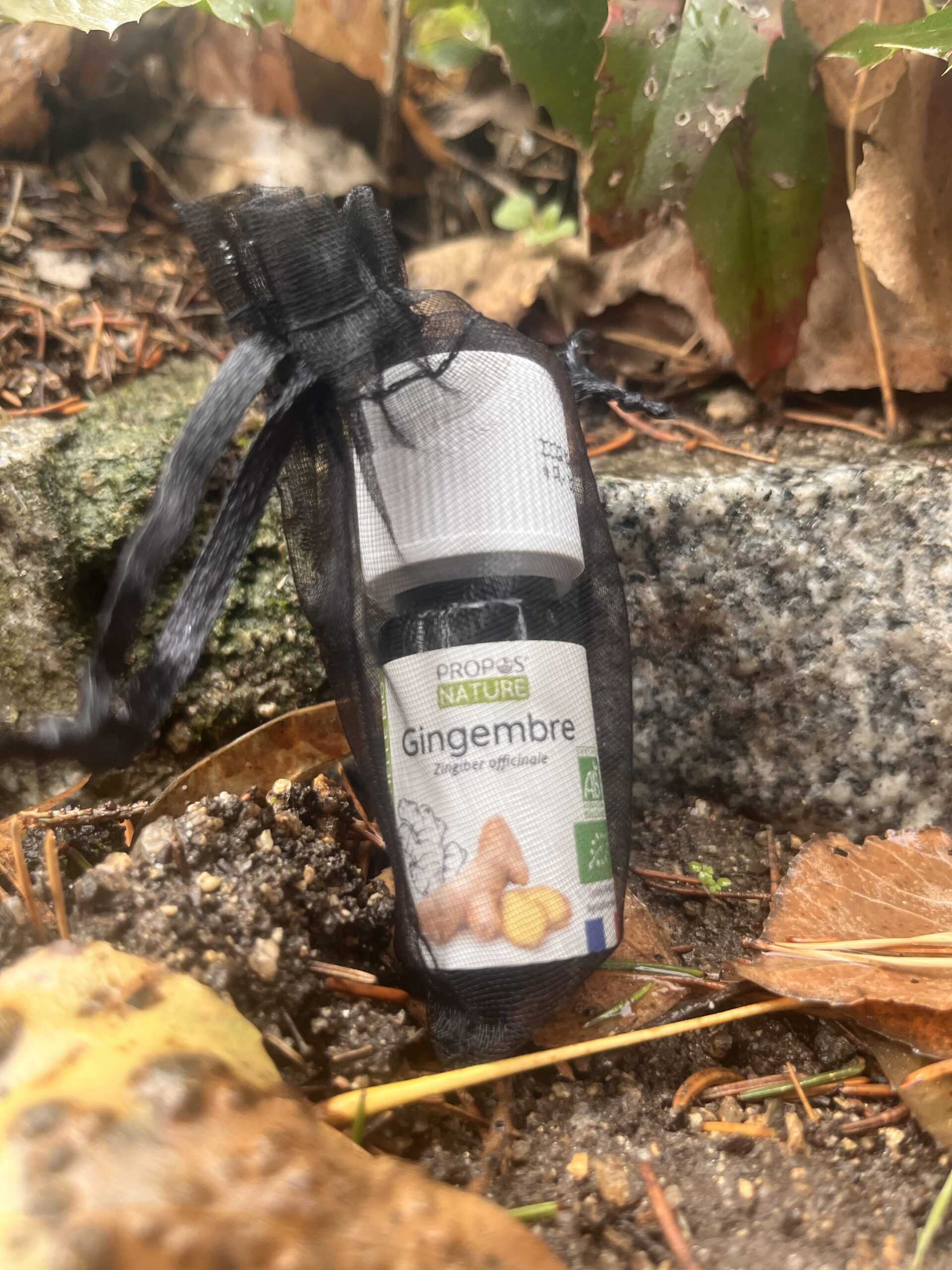 Aceite Esencial de Jengibre Bio (Zingiber officinale)