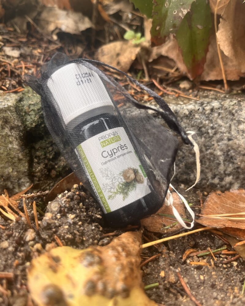 Aceite Esencial de Ciprés Bio (Cupressus sempervirens)
