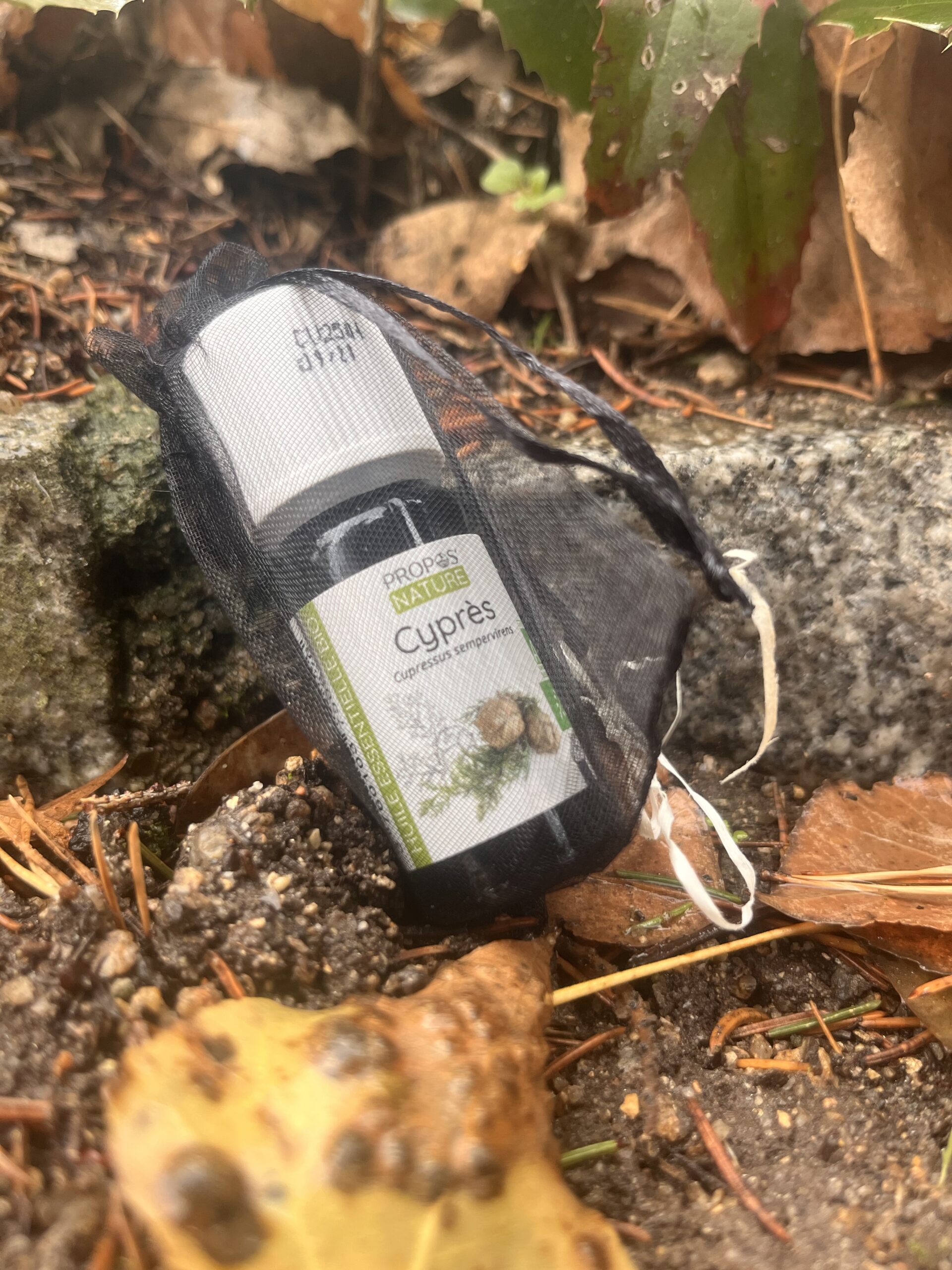 Aceite Esencial de Ciprés Bio (Cupressus sempervirens)