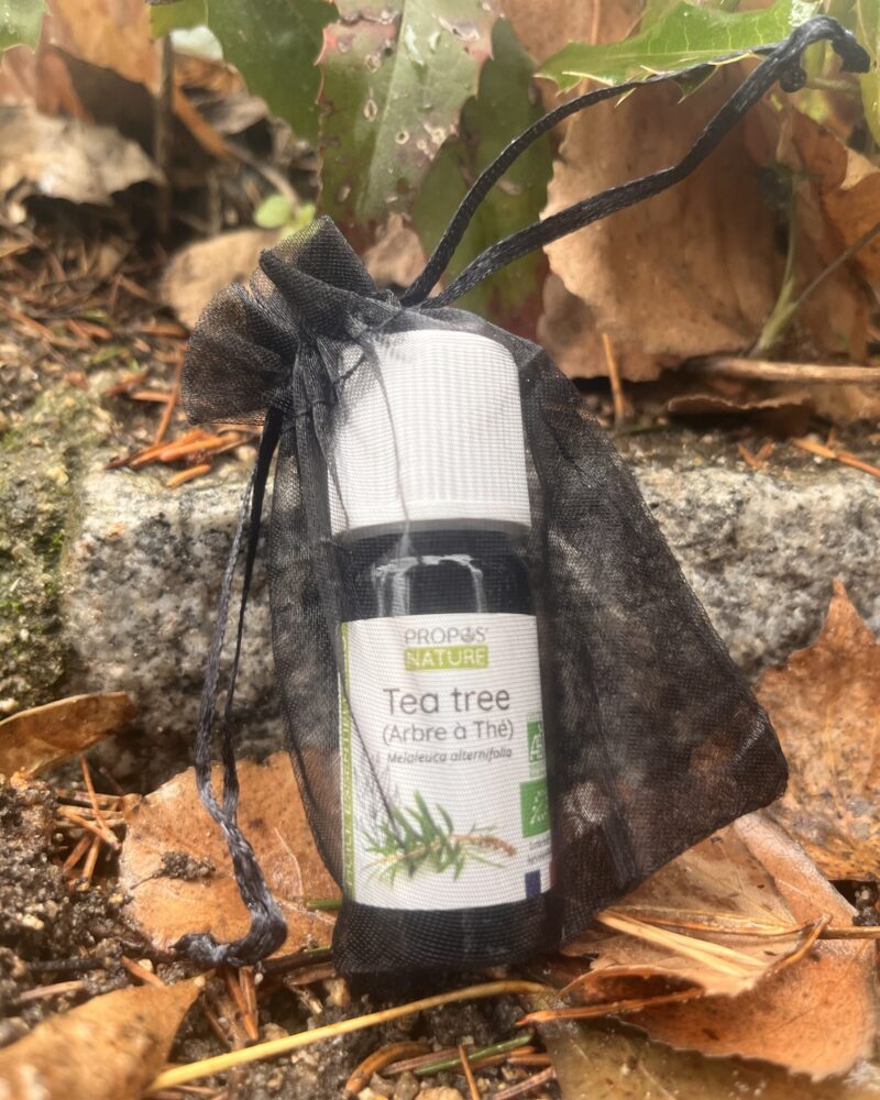 Aceite Esencial de Árbol de Té Bio (Melaleuca alternifolia)