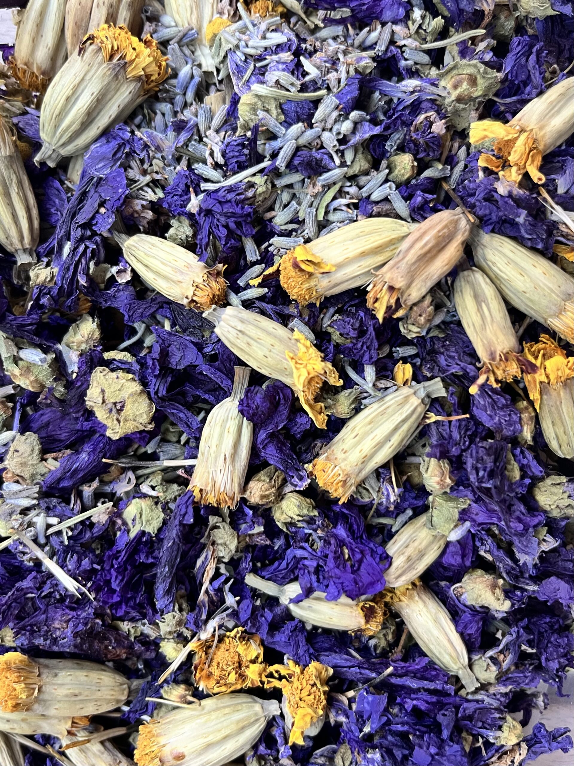 Terra Levis - Imagen 2