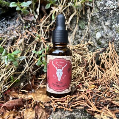 Padmasana – Meditación y concentración