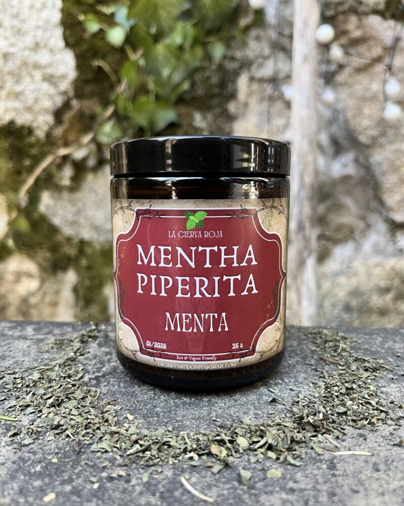 Tarro de Menta Piperita (Mentha piperita)