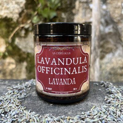 Tarro de Lavanda (Lavandula angustifolia)